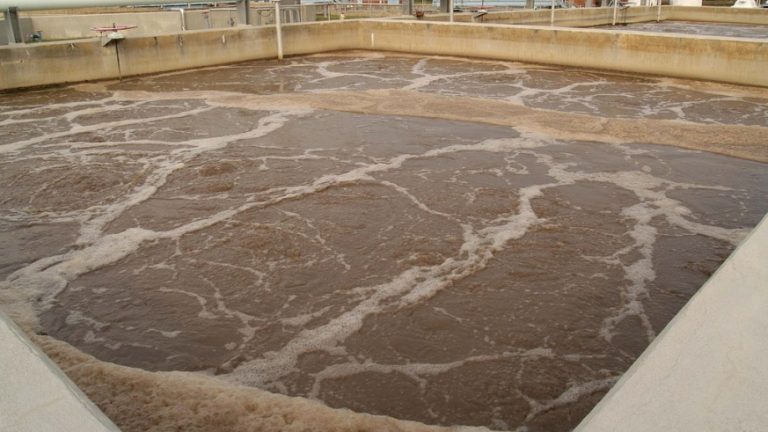 Cung cấp hóa chất vi sinh môi trường